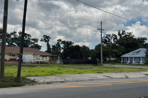 Land in Tampa, Florida № 1879607 - photo 4