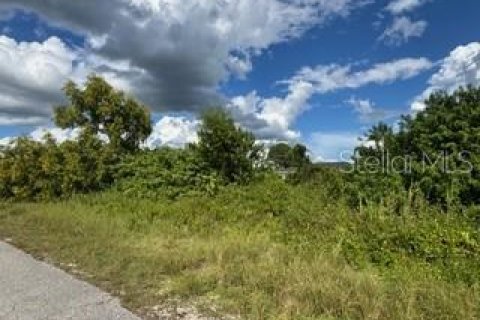 Land in Lehigh Acres, Florida № 2161102 - photo 10