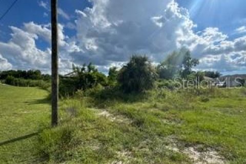 Land in Lehigh Acres, Florida № 2161102 - photo 6
