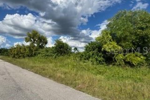 Land in Lehigh Acres, Florida № 2161102 - photo 9