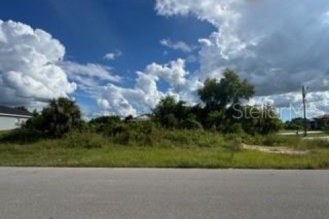 Land in Lehigh Acres, Florida № 2161102 - photo 7
