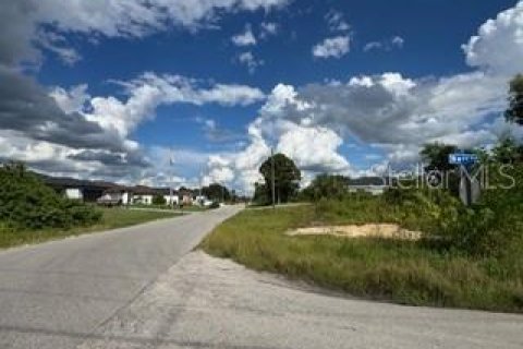 Land in Lehigh Acres, Florida № 2161102 - photo 11
