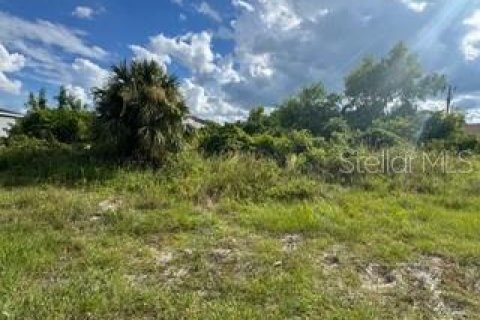 Land in Lehigh Acres, Florida № 2161102 - photo 5