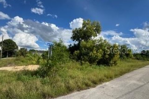 Land in Lehigh Acres, Florida № 2161102 - photo 3