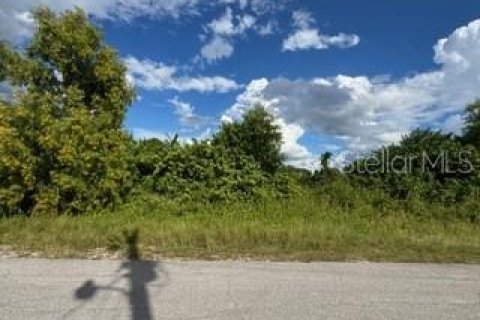 Land in Lehigh Acres, Florida № 2161102 - photo 8