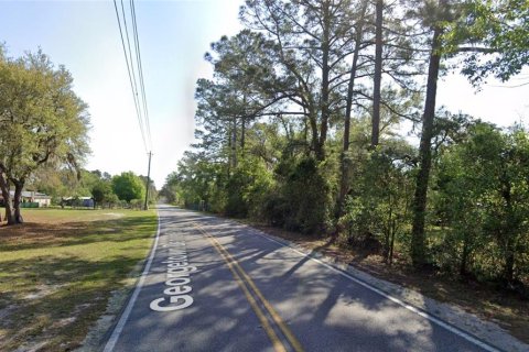 Terreno en venta en Georgetown, Florida № 2164791 - foto 4