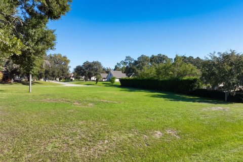 Terreno en venta en Clermont, Florida № 2408028 - foto 10