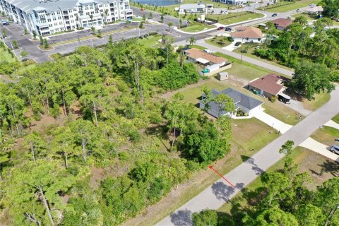 Land in Port Charlotte, Florida № 2162524 - photo 10