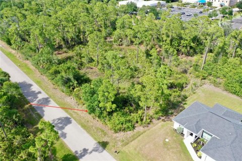 Land in Port Charlotte, Florida № 2162524 - photo 2