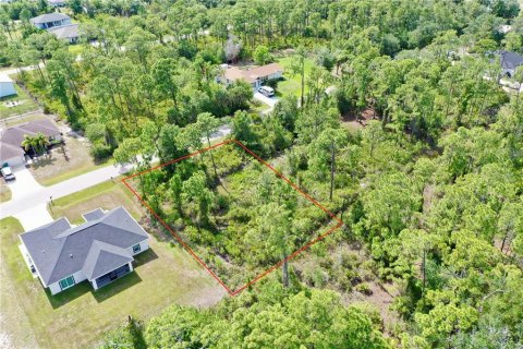 Land in Port Charlotte, Florida № 2162524 - photo 6