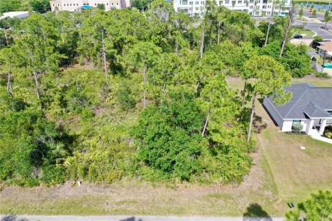 Land in Port Charlotte, Florida № 2162524 - photo 20