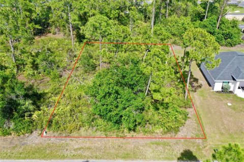 Land in Port Charlotte, Florida № 2162524 - photo 21