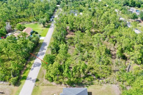 Land in Port Charlotte, Florida № 2162524 - photo 5