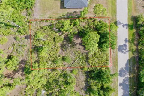 Land in Port Charlotte, Florida № 2162524 - photo 4
