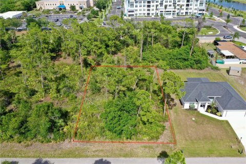 Land in Port Charlotte, Florida № 2162524
