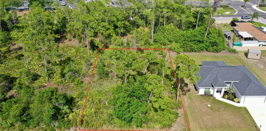 Land in Port Charlotte, Florida № 2162524