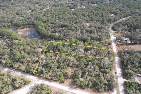 Land in Webster, Florida № 2163914 - photo 2