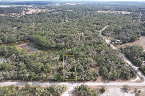 Land in Webster, Florida № 2163914