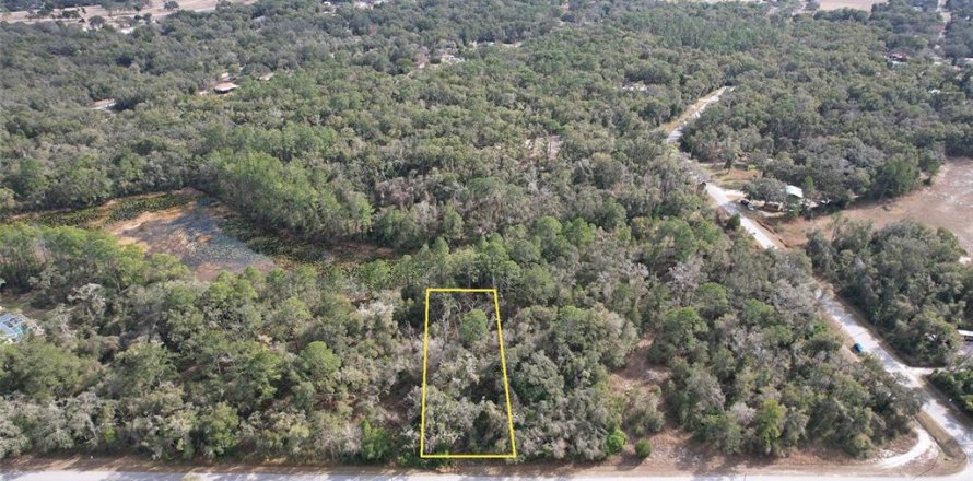 Land in Webster, Florida № 2163914
