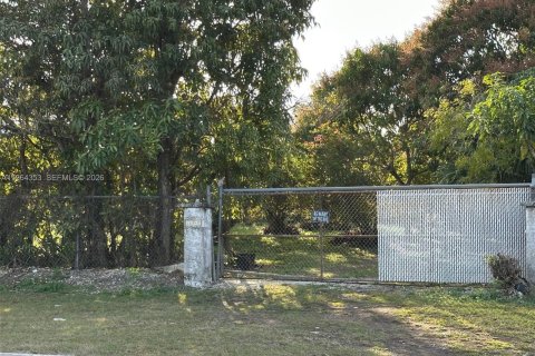 Immobilier commercial à vendre à Homestead, Floride № 2081108 - photo 3
