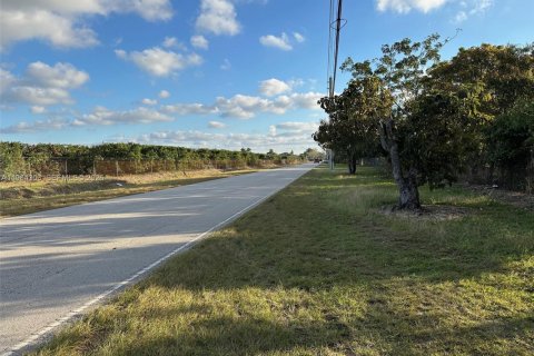 Immobilier commercial à vendre à Homestead, Floride № 2081108 - photo 6
