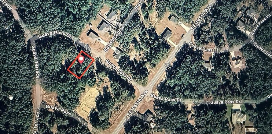 Land in Ocklawaha, Florida № 2158976