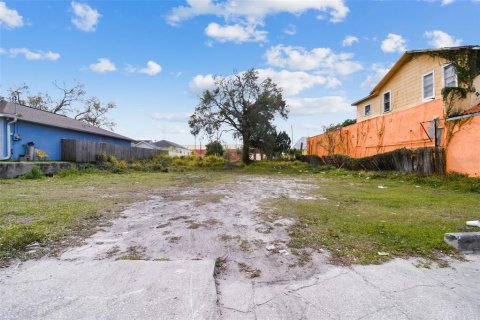 Land in Tampa, Florida № 2266982 - photo 6