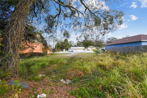 Land in Tampa, Florida № 2266982 - photo 5