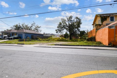 Land in Tampa, Florida № 2266982 - photo 7