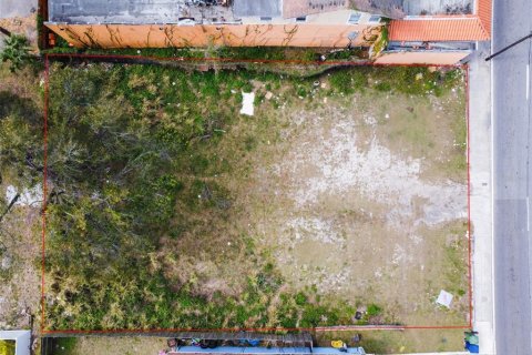 Land in Tampa, Florida № 2266982 - photo 4