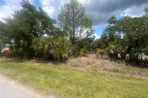 Land in Port Charlotte, Florida № 2205361 - photo 2