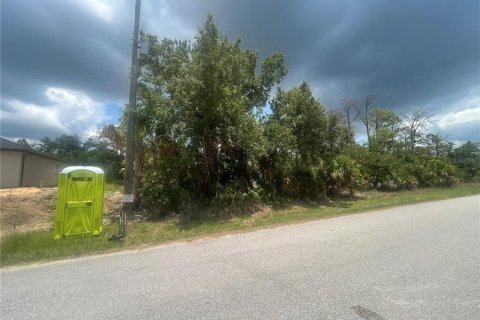 Land in Port Charlotte, Florida № 2205361 - photo 3