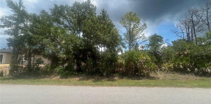 Land in Port Charlotte, Florida № 2205361