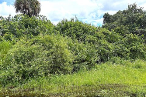 Terreno en venta en Port Charlotte, Florida № 2387341 - foto 4