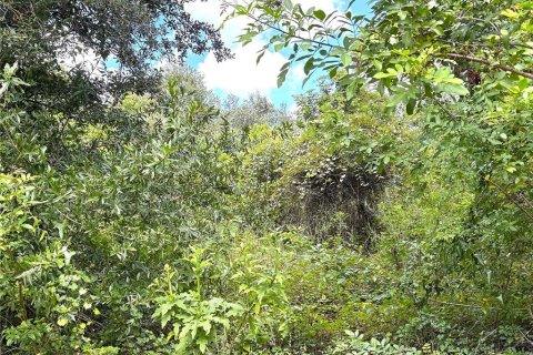 Terreno en venta en Port Charlotte, Florida № 2387341 - foto 15