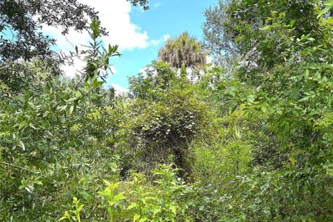 Terreno en venta en Port Charlotte, Florida № 2387341 - foto 7