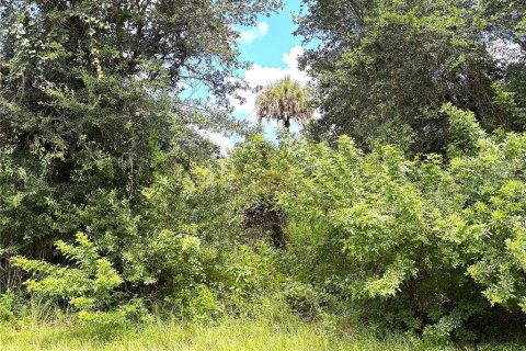 Terreno en venta en Port Charlotte, Florida № 2387341 - foto 2