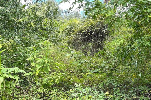 Terreno en Port Charlotte, Florida № 2387341