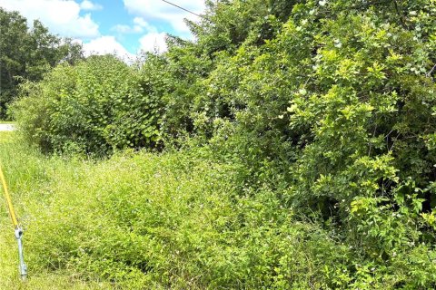 Terreno en venta en Port Charlotte, Florida № 2387341 - foto 3