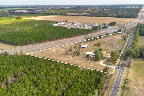 Commercial property in Chiefland, Florida 269.6 sq.m. № 2125893 - photo 2