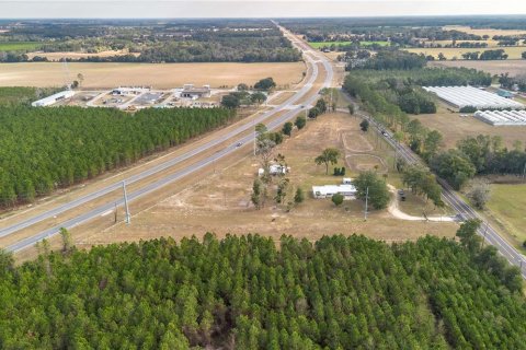 Commercial property in Chiefland, Florida 269.6 sq.m. № 2125893 - photo 5
