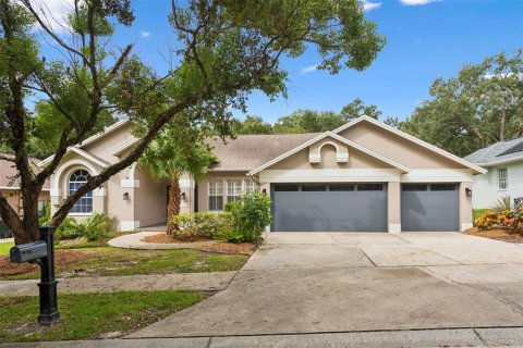 Villa ou maison à Safety Harbor, Floride 4 chambres, 232.26 m2 № 2399519