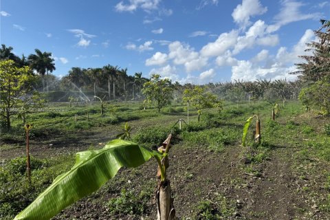 Immobilier commercial à Homestead, Floride № 2051768