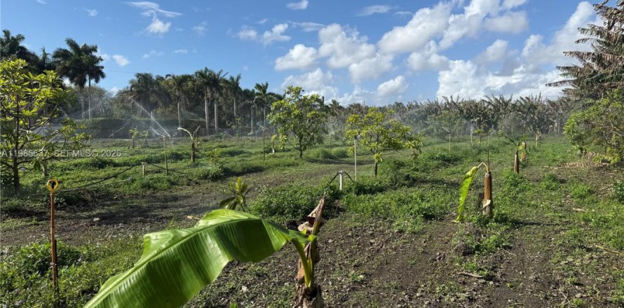 Immobilier commercial à Homestead, Floride № 2051768