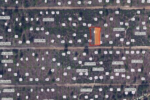 Land in Interlachen, Florida № 2159470 - photo 2