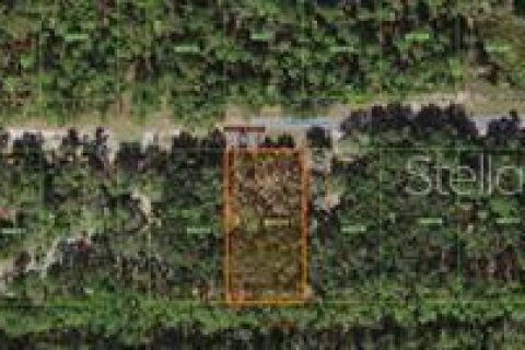 Land in Indian lake estates, Florida № 2160187