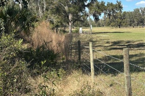 Land in Cross City, Florida № 2161417 - photo 13
