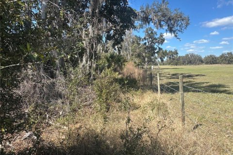 Land in Cross City, Florida № 2161417 - photo 15
