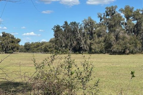 Land in Cross City, Florida № 2161417 - photo 12