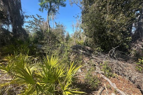 Land in Cross City, Florida № 2161417 - photo 16